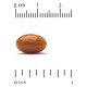 CGN, coenzyme Q10 100 мг (360 капс.), коэнзим для сердца