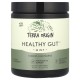 Terra Origin, Healthy Gut (243г), для травлення, м'ята