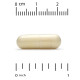 CGN, Alpha Lipoic Acid 600 мг (120 капс.), альфа-ліпоєва кислота
