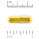 Natural Factors, WellBetX Berberine 500 мг (60 капс.), берберін