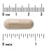 Swanson, Milk Thistle Full Spectrum 500 мг (100 капс.), расторопша, силимарин