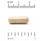 LAN, Milk Thistle Extract 175 мг (240 капс.), экстракт расторопши, силимарин, для печени