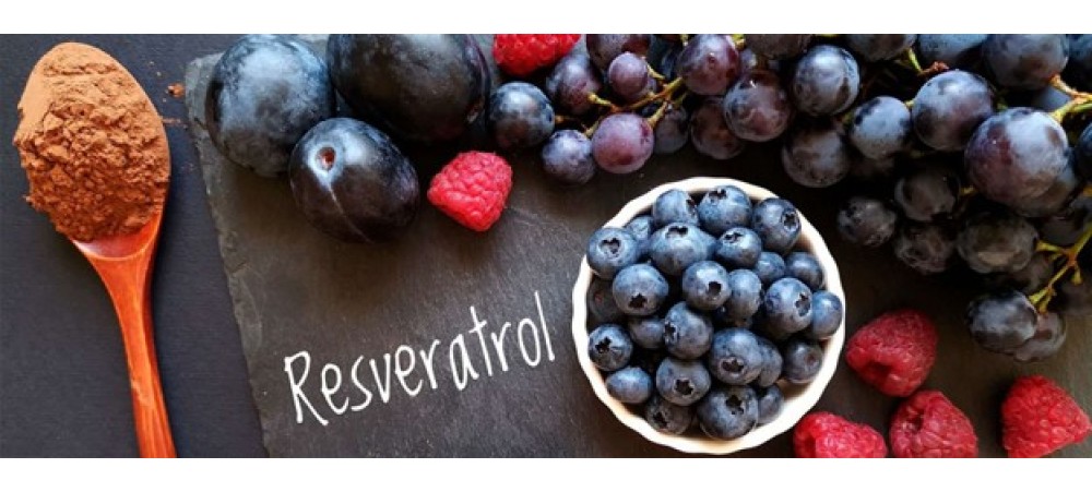 Ресвератрол – що це таке?