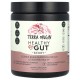 Terra Origin, Healthy Gut (243г), для травлення, ягідний смак