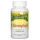 Sunny Green, Chlorophyll (90 таб. По 100 мг), хлорофіл